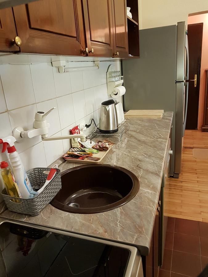Classic Style Apartment Belgrade Extérieur photo