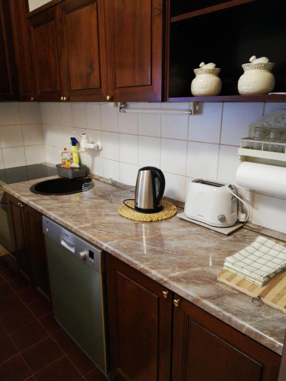 Classic Style Apartment Belgrade Extérieur photo