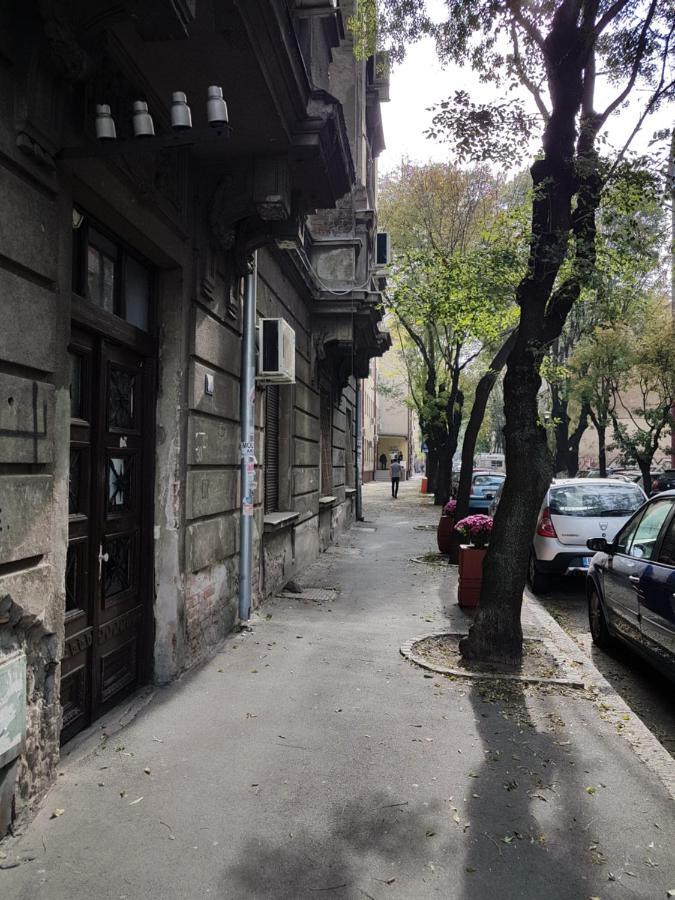 Classic Style Apartment Belgrade Extérieur photo